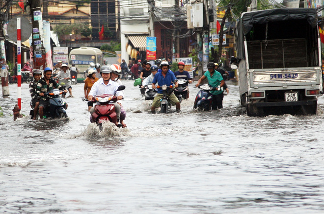 Thông tin từ đường dây nóng
